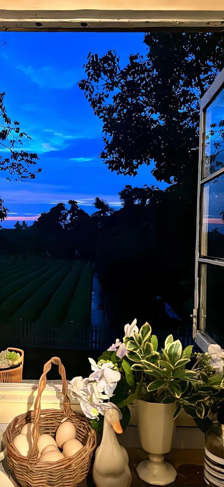 blue hour windowsill